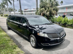 
										Stretch Limousine full									