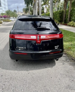 
										Stretch Limousine full									